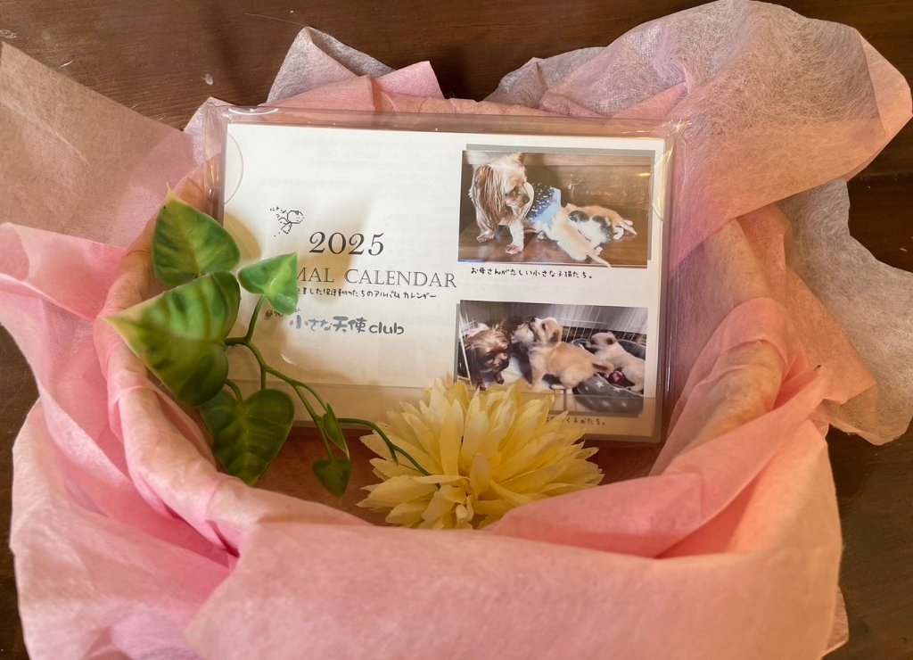 2025年ちび天保護動物たちの卓上カレンダー　※フレーム無しの画像