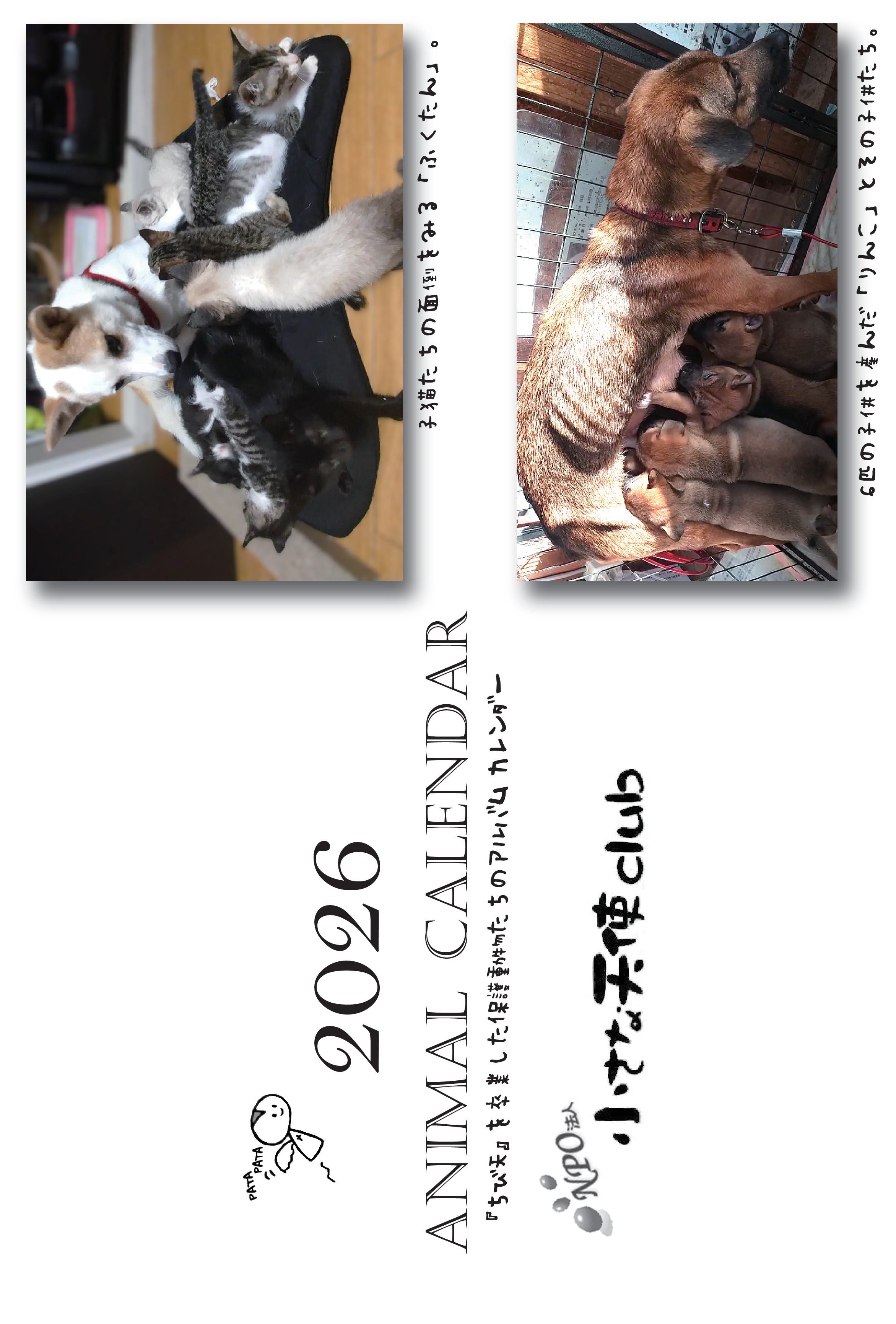 2026年ちび天保護動物たちの卓上カレンダー　※フレーム無しの画像