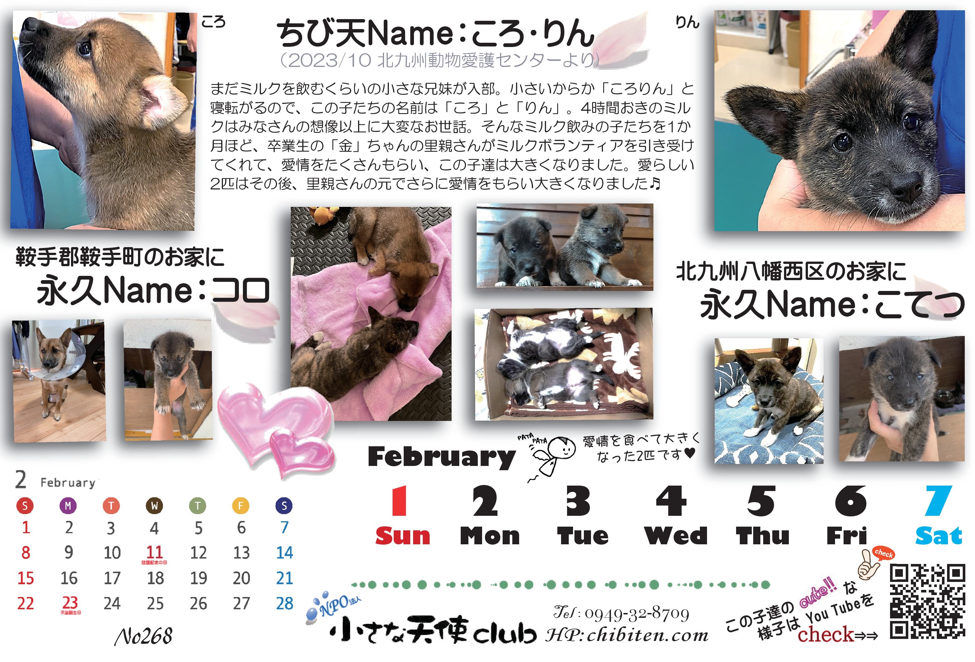 2026年ちび天保護動物たちの卓上カレンダー　※フレーム無しの画像