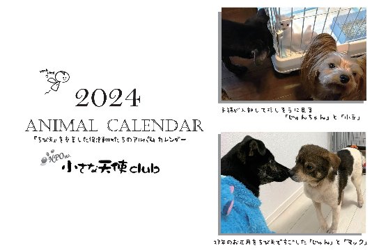2023年ちび天保護動物たちの卓上カレンダー　※フレーム無し画像