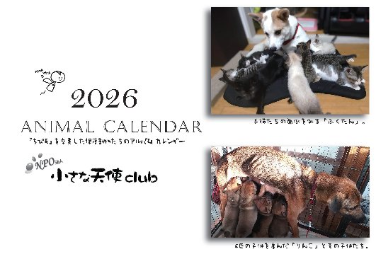 2026年ちび天保護動物たちの卓上カレンダー　※フレーム無しの画像