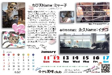 2026年ちび天保護動物たちの卓上カレンダー　※フレーム無しの画像