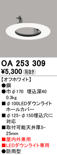 安心のメーカー保証【インボイス対応店】【送料無料】OA253309 オーデリック ポーチライト  Ｔ区分の画像