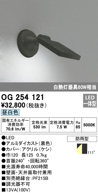 安心のメーカー保証【インボイス対応店】【送料無料】OG254121 オーデリック 屋外灯 スポットライト LED  Ｔ区分の画像