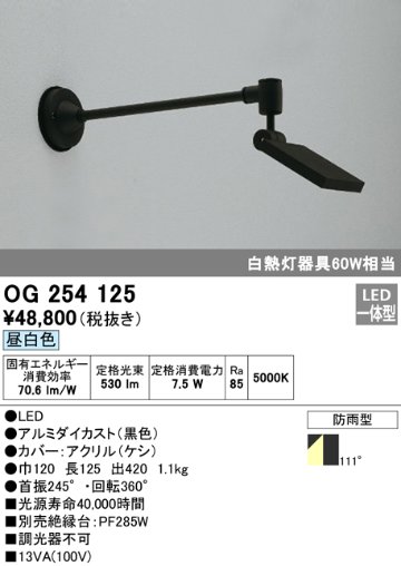 安心のメーカー保証【インボイス対応店】【送料無料】OG254125 オーデリック 屋外灯 スポットライト LED  Ｔ区分の画像