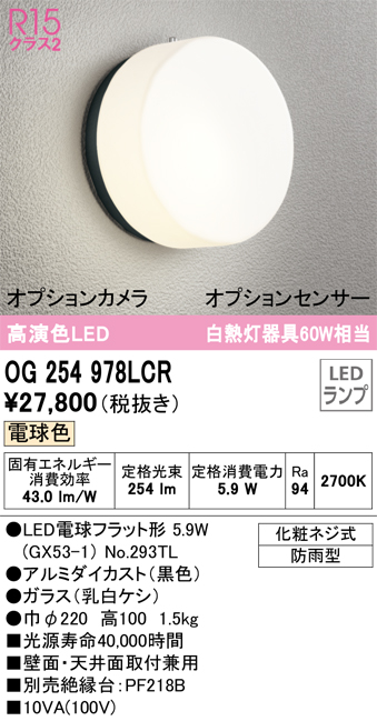 安心のメーカー保証【インボイス対応店】【送料無料】OG254978LCR （ランプ別梱包）『OG254978#＋NO293TL』 オーデリック ポーチライト LED  Ｔ区分の画像