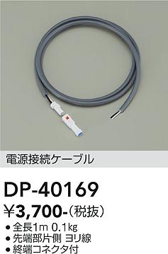 安心のメーカー保証【インボイス対応店】【送料無料】DP40169 ダイコー 屋外灯 その他屋外灯 ケーブル 大光電機の画像