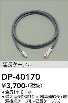 安心のメーカー保証【インボイス対応店】【送料無料】DP40170 ダイコー 屋外灯 その他屋外灯 ケーブル 大光電機の画像