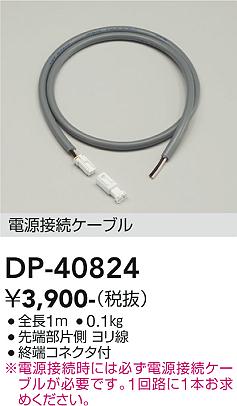 安心のメーカー保証【インボイス対応店】【送料無料】DP40824 ダイコー 屋外灯 その他屋外灯 電源接続ケーブル 大光電機の画像