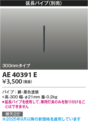 安心のメーカー保証【インボイス対応店】【送料無料】AE40391E コイズミ シーリングファン パイプのみ  Ｔ区分の画像