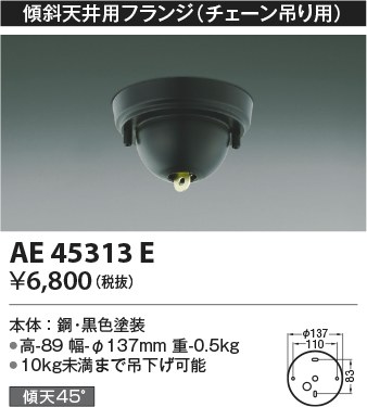 安心のメーカー保証【インボイス対応店】【送料無料】AE45313E コイズミ オプション  Ｔ区分の画像