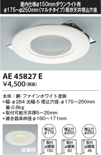 安心のメーカー保証【インボイス対応店】【送料無料】AE45827E コイズミ ダウンライト オプション  Ｔ区分の画像