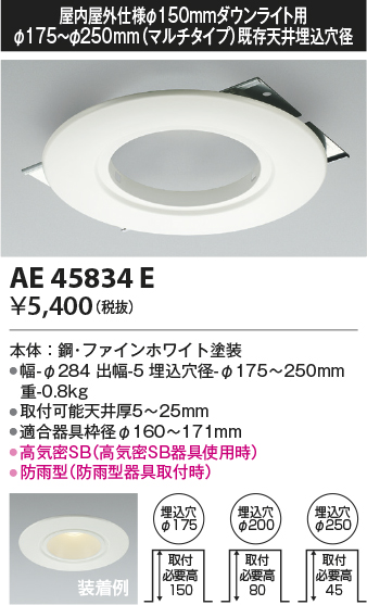 安心のメーカー保証【インボイス対応店】【送料無料】AE45834E コイズミ ダウンライト オプション  Ｔ区分の画像