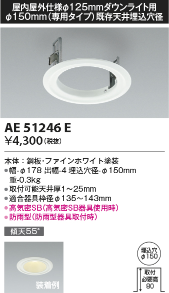 安心のメーカー保証【インボイス対応店】【送料無料】AE51246E コイズミ ダウンライト リニューアルプレート  Ｔ区分の画像