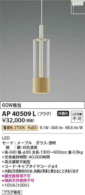 安心のメーカー保証【インボイス対応店】【送料無料】AP40509L コイズミ ペンダント 配線ダクト用 LED  Ｔ区分の画像