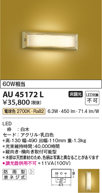 安心のメーカー保証【インボイス対応店】【送料無料】AU45172L コイズミ 屋外灯 アウトドアブラケット LED  Ｔ区分の画像