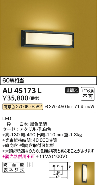 安心のメーカー保証【インボイス対応店】【送料無料】AU45173L コイズミ 屋外灯 アウトドアブラケット LED  Ｔ区分の画像