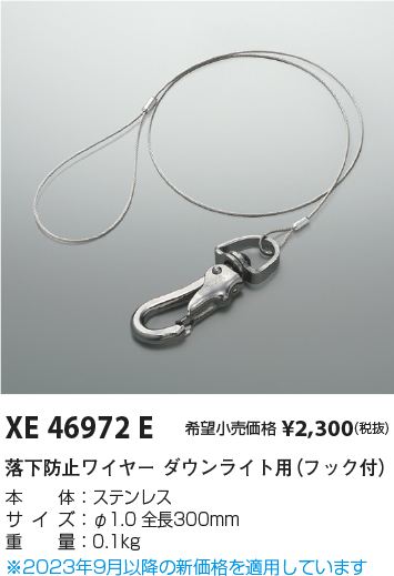 安心のメーカー保証【インボイス対応店】【送料無料】XE46972E コイズミ ダウンライト オプション  Ｔ区分の画像