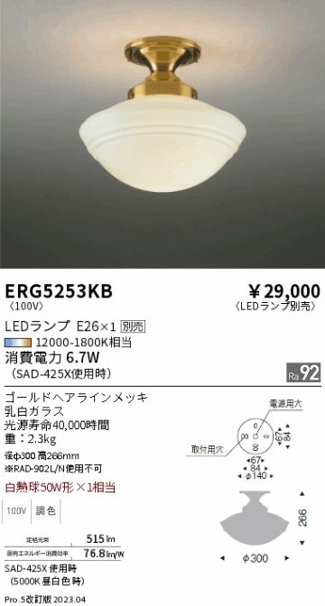 安心のメーカー保証【インボイス対応店】【送料無料】ERG5253KB 遠藤照明 シーリングライト LED ランプ別売 Ｎ区分の画像