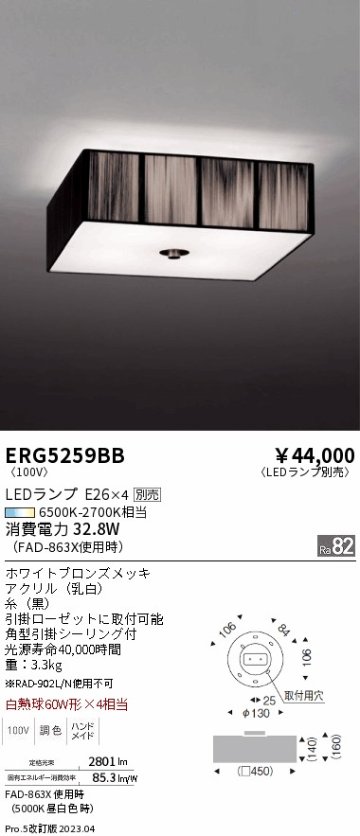 安心のメーカー保証【インボイス対応店】【送料無料】ERG5259BB 遠藤照明 シーリングライト LED ランプ別売 Ｎ区分の画像