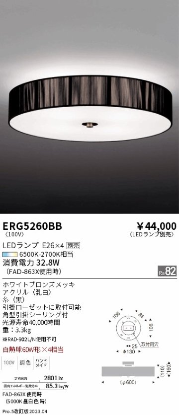 安心のメーカー保証【インボイス対応店】【送料無料】ERG5260BB 遠藤照明 シーリングライト LED ランプ別売 Ｎ区分の画像