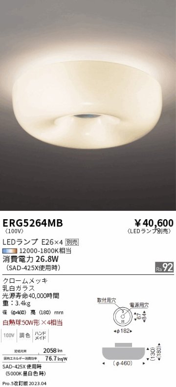 安心のメーカー保証【インボイス対応店】【送料無料】ERG5264MB 遠藤照明 シーリングライト LED ランプ別売 Ｎ区分の画像