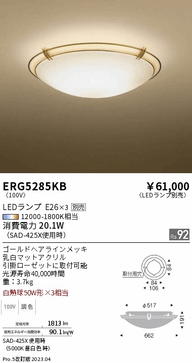 安心のメーカー保証【インボイス対応店】【送料無料】ERG5285KB 遠藤照明 シーリングライト LED ランプ別売 Ｎ区分 メーカー直送の画像