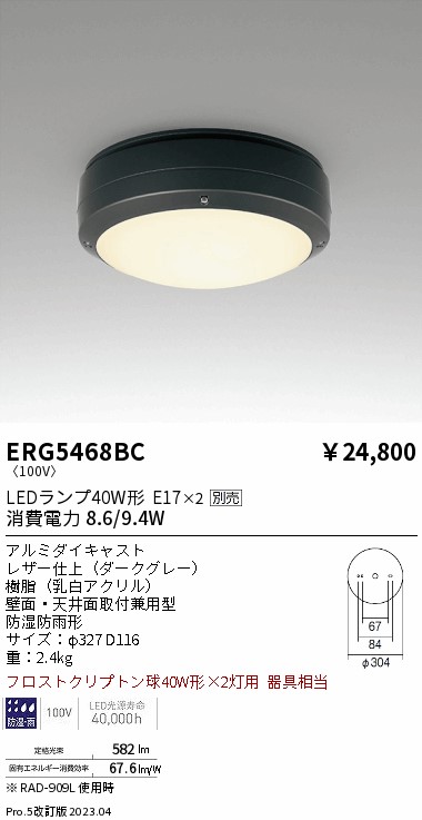 安心のメーカー保証【インボイス対応店】【送料無料】ERG5468BC 遠藤照明 ポーチライト LED ランプ別売 Ｎ区分 Ｎ発送の画像