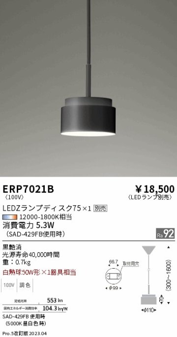 安心のメーカー保証【インボイス対応店】【送料無料】ERP7021B 遠藤照明 ペンダント LED ランプ別売 Ｎ区分の画像