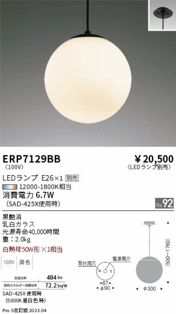 安心のメーカー保証【インボイス対応店】【送料無料】ERP7129BB 遠藤照明 ペンダント LED ランプ別売 Ｎ区分の画像