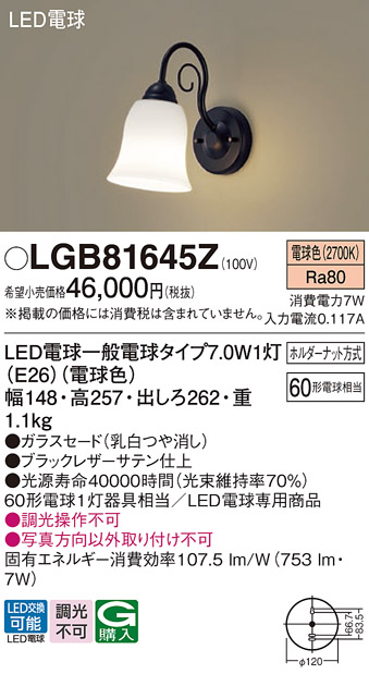 安心のメーカー保証【インボイス対応店】【送料無料】LGB81645Z パナソニック ブラケット LED  Ｔ区分の画像