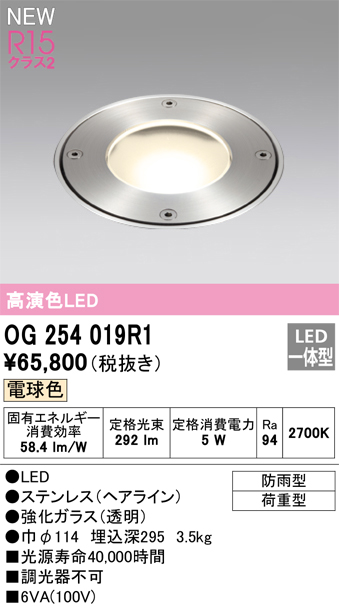 安心のメーカー保証【インボイス対応店】【送料無料】OG254019R1 オーデリック 屋外灯 埋込灯 LED  Ｔ区分の画像