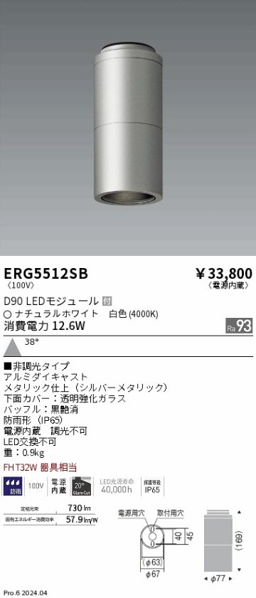 安心のメーカー保証【インボイス対応店】【送料無料】ERG5512SB 遠藤照明 ポーチライト 軒下用 LED  Ｎ区分の画像