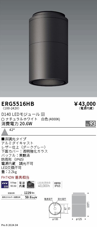 安心のメーカー保証【インボイス対応店】【送料無料】ERG5516HB 遠藤照明 ポーチライト 軒下用 LED  Ｎ区分 Ｎ発送の画像