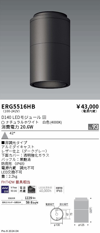 安心のメーカー保証【インボイス対応店】【送料無料】ERG5516HB 遠藤照明 ポーチライト 軒下用 LED  Ｎ区分の画像