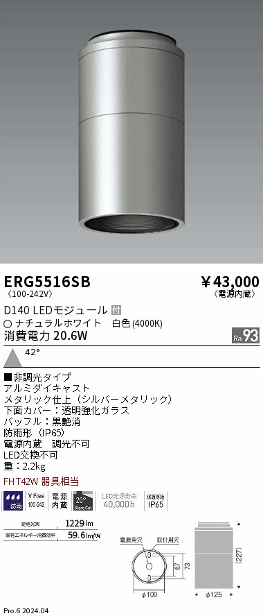 安心のメーカー保証【インボイス対応店】【送料無料】ERG5516SB 遠藤照明 ポーチライト 軒下用 LED  Ｎ区分 Ｎ発送の画像