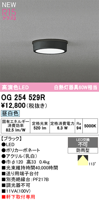 安心のメーカー保証期間限定特価【インボイス対応店】【送料無料】OG254529R オーデリック 屋外灯 軒下灯 LED  Ｈ区分の画像