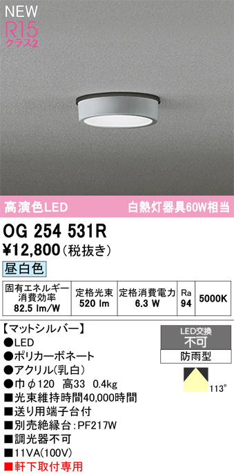 安心のメーカー保証期間限定特価【インボイス対応店】【送料無料】OG254531R オーデリック 屋外灯 軒下灯 LED  Ｈ区分の画像