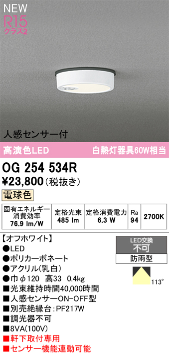 安心のメーカー保証期間限定特価【インボイス対応店】【送料無料】OG254534R オーデリック 屋外灯 軒下灯 LED  Ｈ区分の画像