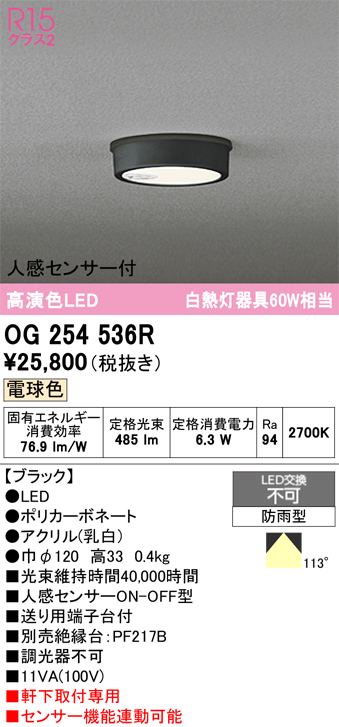安心のメーカー保証期間限定特価【インボイス対応店】【送料無料】OG254536R オーデリック 屋外灯 軒下灯 LED  Ｈ区分の画像