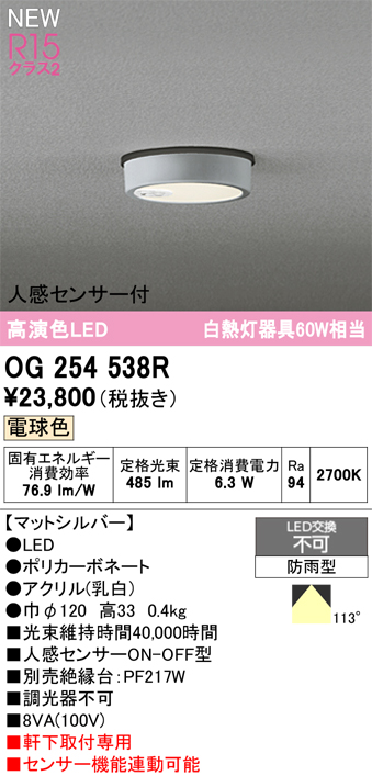 安心のメーカー保証期間限定特価【インボイス対応店】【送料無料】OG254538R オーデリック 屋外灯 軒下灯 LED  Ｈ区分の画像