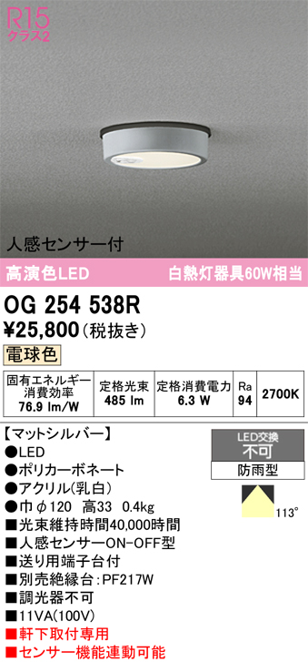 安心のメーカー保証期間限定特価【インボイス対応店】【送料無料】OG254538R オーデリック 屋外灯 軒下灯 LED  Ｈ区分の画像