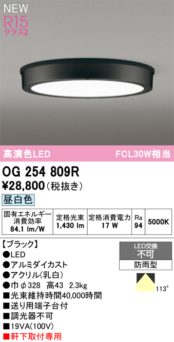 安心のメーカー保証期間限定特価【インボイス対応店】【送料無料】OG254809R オーデリック 屋外灯 軒下灯 LED  Ｈ区分の画像