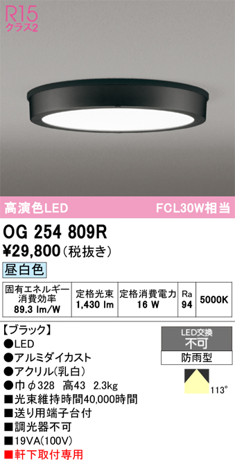 安心のメーカー保証【インボイス対応店】【送料無料】OG254809R オーデリック 屋外灯 軒下灯 LED  Ｔ区分の画像