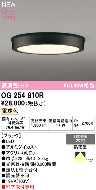 安心のメーカー保証期間限定特価【インボイス対応店】【送料無料】OG254810R オーデリック 屋外灯 軒下灯 LED  Ｈ区分の画像