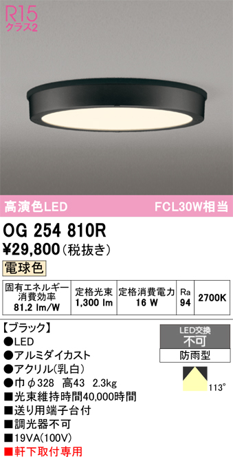 安心のメーカー保証【インボイス対応店】【送料無料】OG254810R オーデリック 屋外灯 軒下灯 LED  Ｔ区分の画像