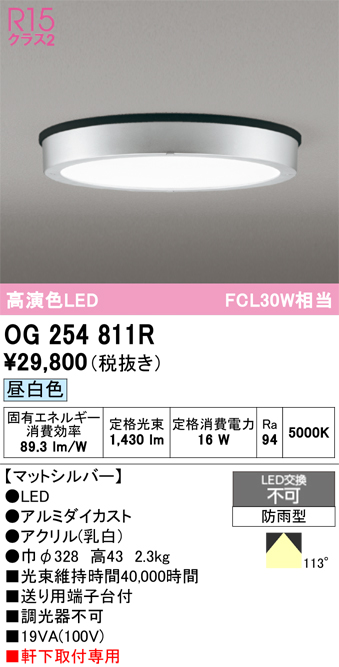 安心のメーカー保証【インボイス対応店】【送料無料】OG254811R オーデリック 屋外灯 軒下灯 LED  Ｔ区分の画像