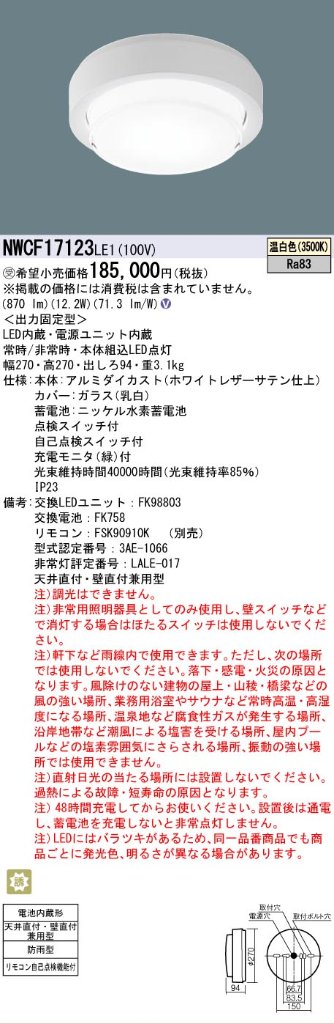 安心のメーカー保証【インボイス対応店】NWCF17123LE1 パナソニック 屋外灯 非常灯 LED リモコン別売  受注生産品  Ｎ区分の画像