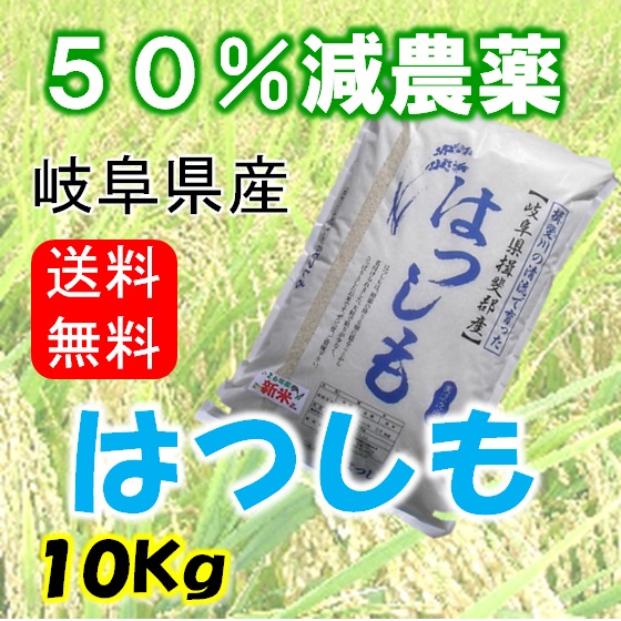 【収穫したて！】2017年新米 岐阜県産 ハツシモ 玄米20キロ食品