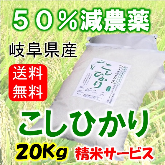 令和７年産　コシヒカリ　20Kg（精米サービス）の画像